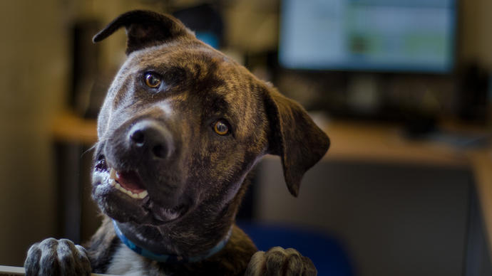 Our stories | Blue Cross